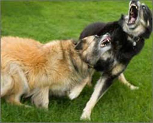 ���������� ������ ��������� ����� � ������ �������