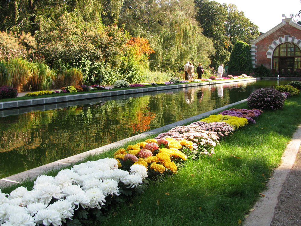 ������ ������ ������� ������������ �� ������������ �������� � "����������� �������"