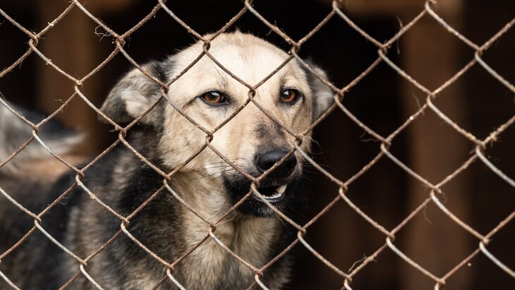 ������� ������� �� ��������� ������������ �� ����������� �������� � �������