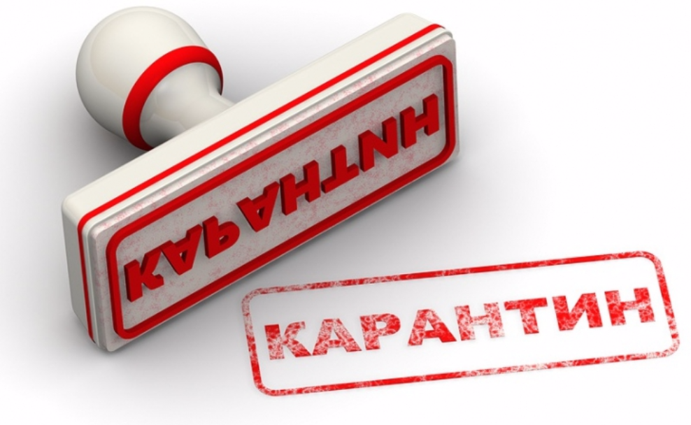 � ������ �������-����������� ���������� �������� �� ���������