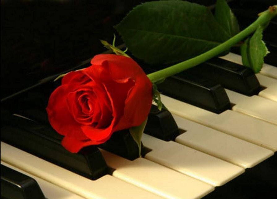 � ������ �������� ������������� ������� ���� �������� ������� � �������