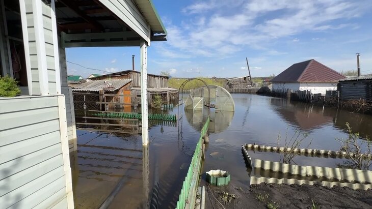 ���� ������ ���� ���� ������� ������� ��������� �� ���� ����� � �������