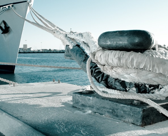 �� ������-���� �������� ����� ����� ��� �����������