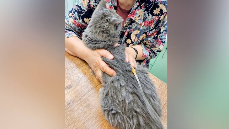 ���������� ������ ������ ����� � ��������� � ������