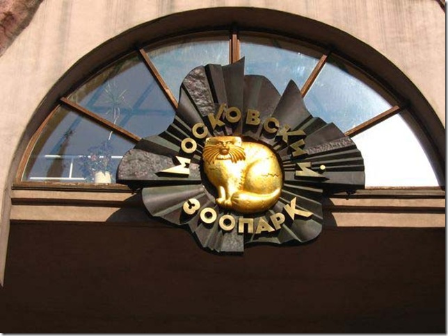 ������������� ����� ������ ������� ���������� �������