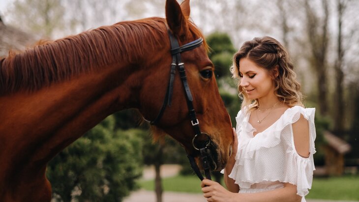 ������ ������ ������� ��������� ��������� �� �������