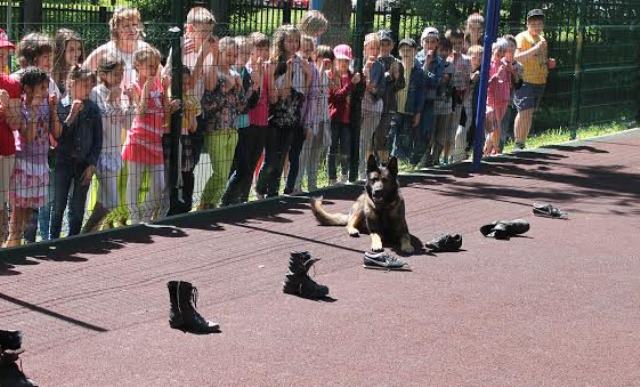 ����������� ��������� ���������� ������������� ���������-����������������� ������  ��������  � ������������� ���� ������ �����