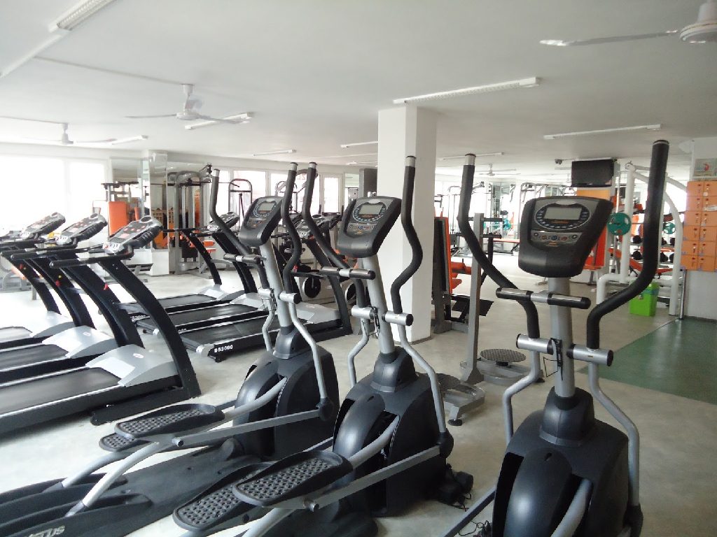 ���� �� 1,2 ��� ������ � ������-����� �� ���������� �����