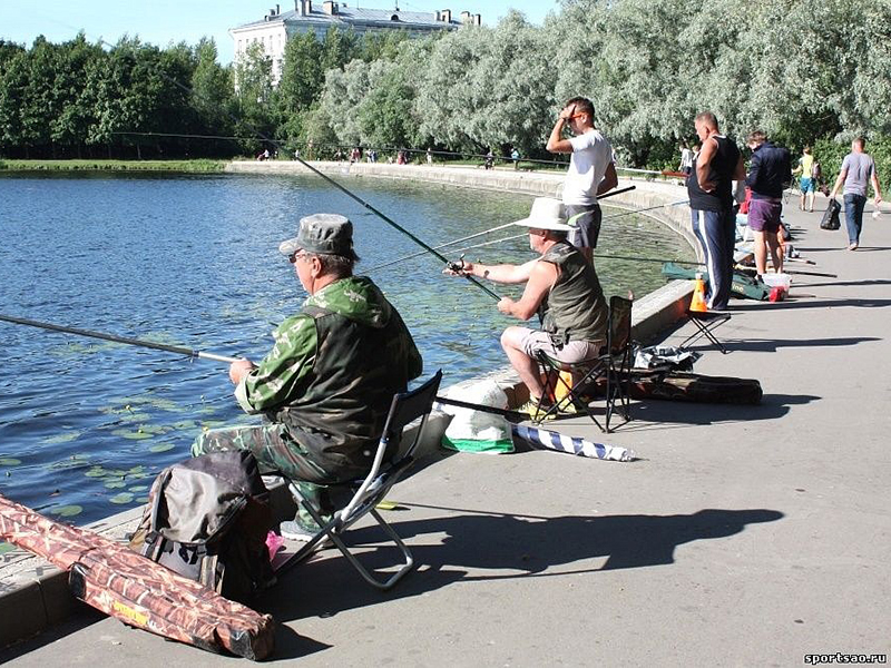 ���������� ���������� ���������� ����������� �� ��������