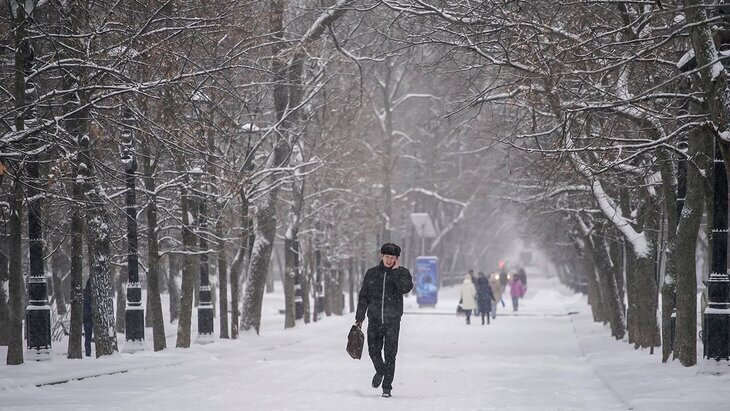 �� 38% �������� ����� ������� ������ � ������ �� �������� �����