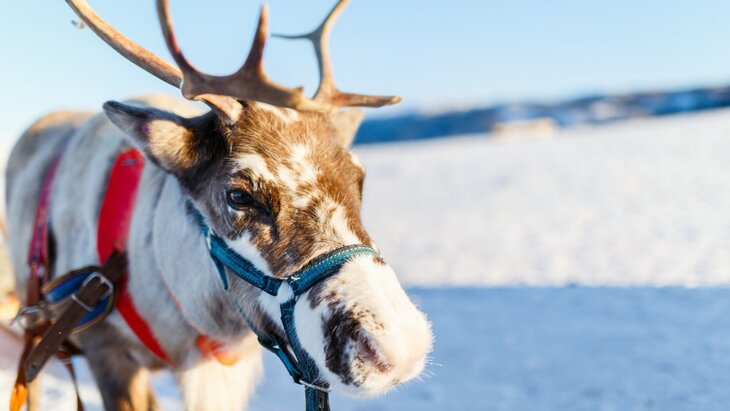 ������ �������� ��������� ���� ���� ��������������� ����� ��������