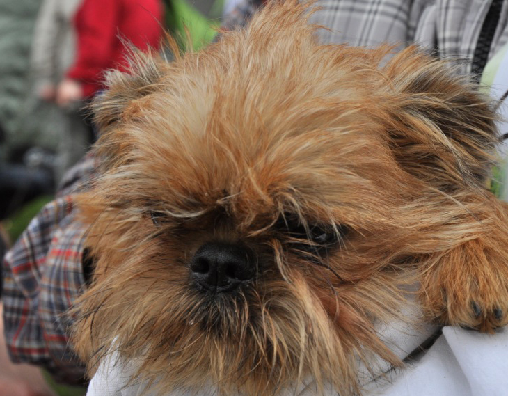 ���������� ����������������� ����� ������ �������� �����, �����, �����, ����� � ��� ����� ��� ���!�