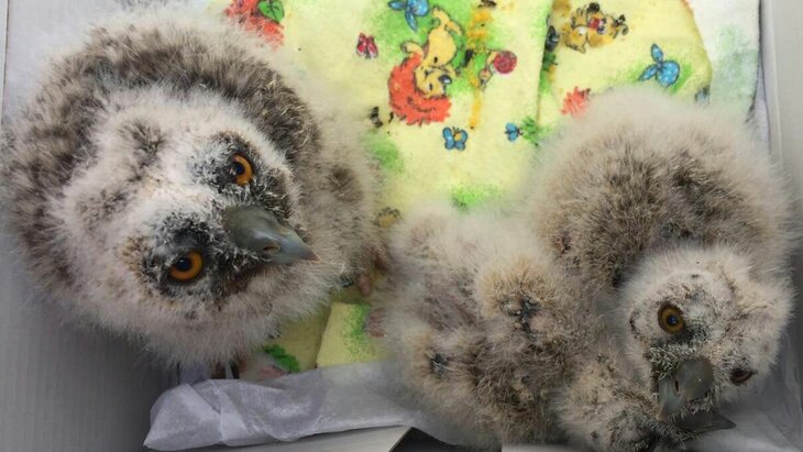 ����� ������� ������ ����������� � ������ ��������� ���� �� ������ ������ ����