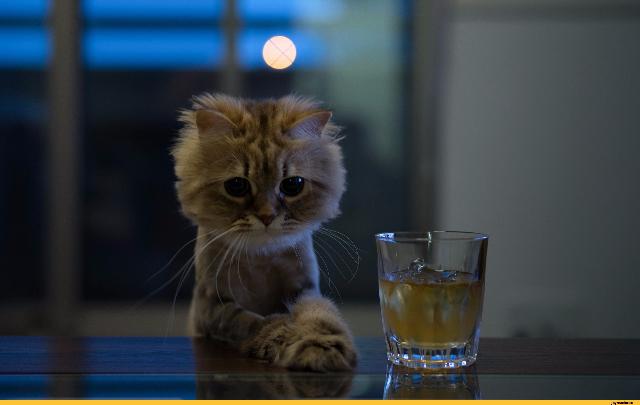 ������ ������ ������� ������ ������� � ����� ��������