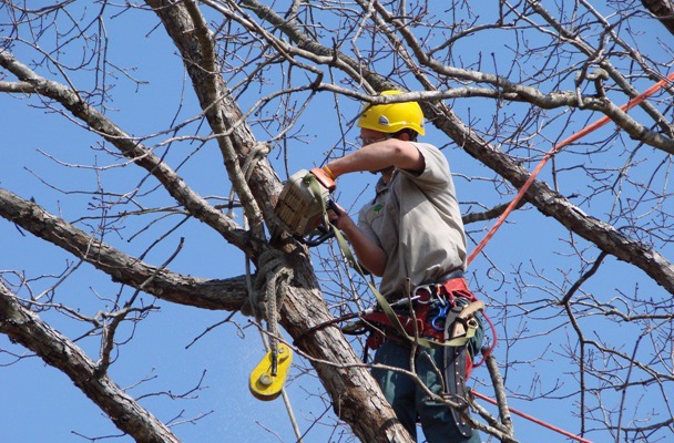 � ������ ������� ��������� ������ �� ������������ ��������