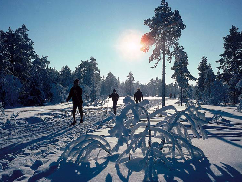 ����� ������ ������� ���������� ������� ������� � ������������� ������� ����� �������� �����