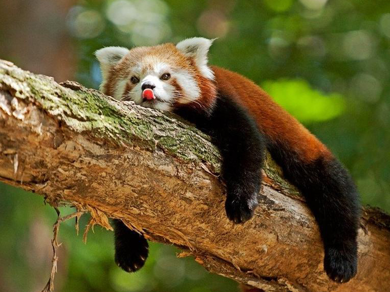 ������� ����� � ���������� ��������