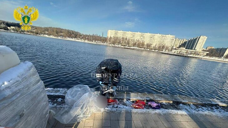 Подозреваемая в убийстве ребенка в Балашихе имела долги по микрокредитам – СМИ