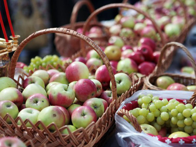 �� ��� ��� ����� ��������� ��������� ���� ������ ����� 600 ������ ����������� ��������� ����  