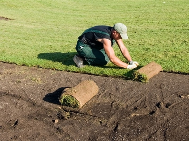 � ������ ������� ������ ������ �� �������������� ������