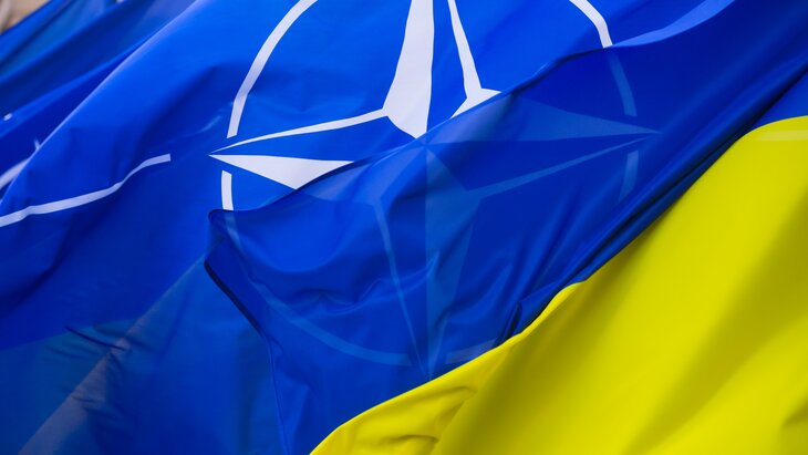 В итоговом документе саммита НАТО не будет цитаты о необратимом пути Украины в альянс