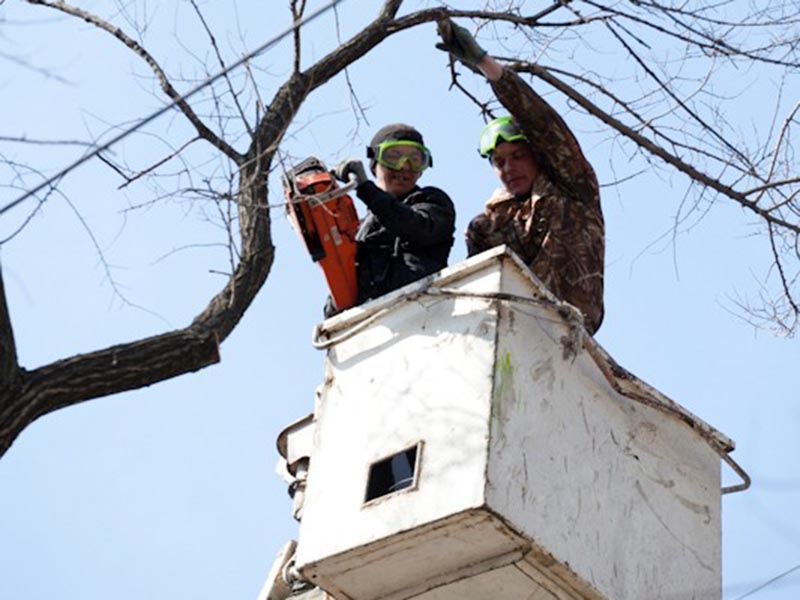 � ������ ������� �������� ���������� ������� �����