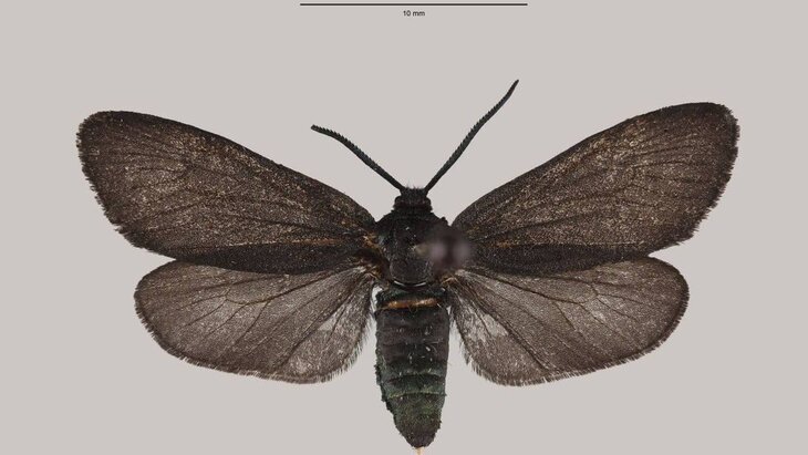 ����� ��� ������� �� ������ � ����� ���������� �� ������� �������