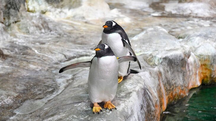 ����� ��� �������� ����� ����������� �� ����������� ����������� �������� ������