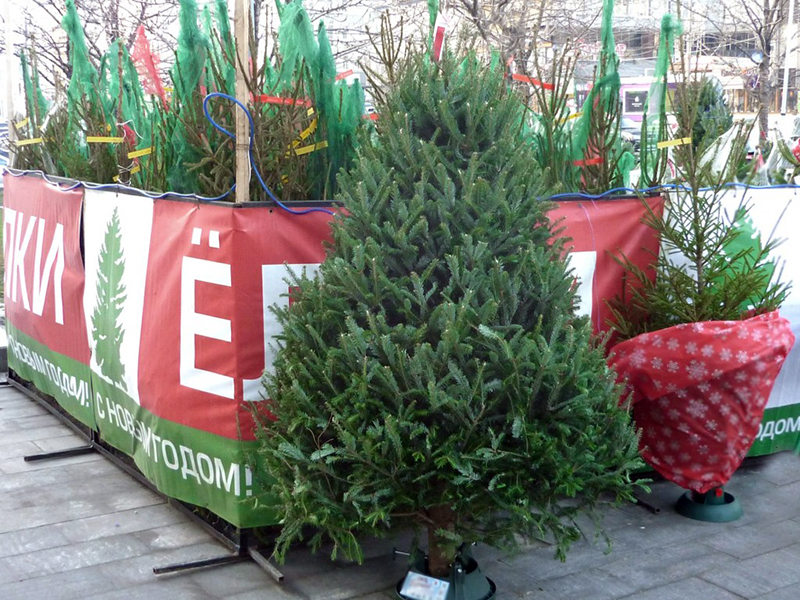 �� ������������ ����� ������ ������� ��������� ������� �����