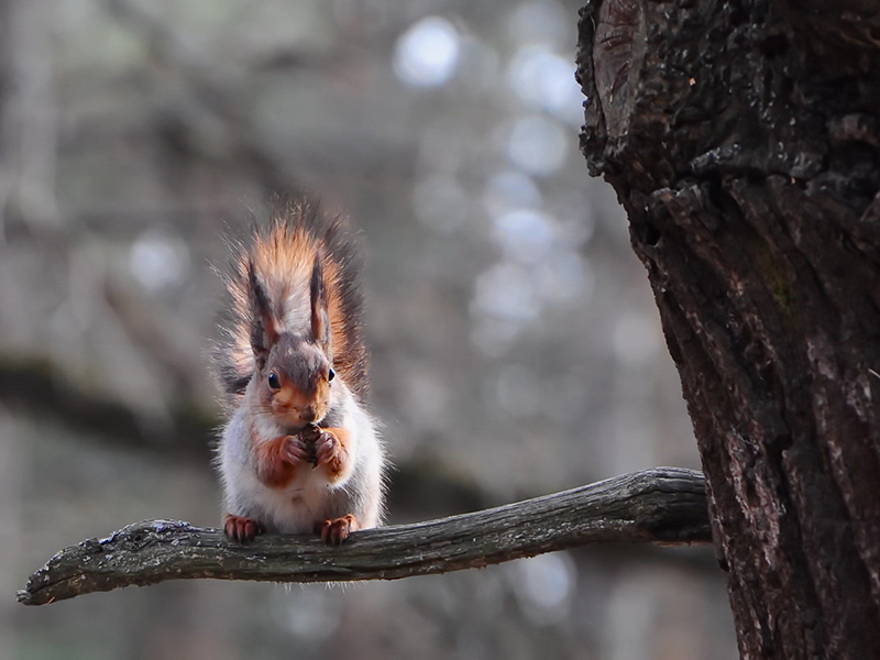 �� ���������� ���� �������� 10 ������������