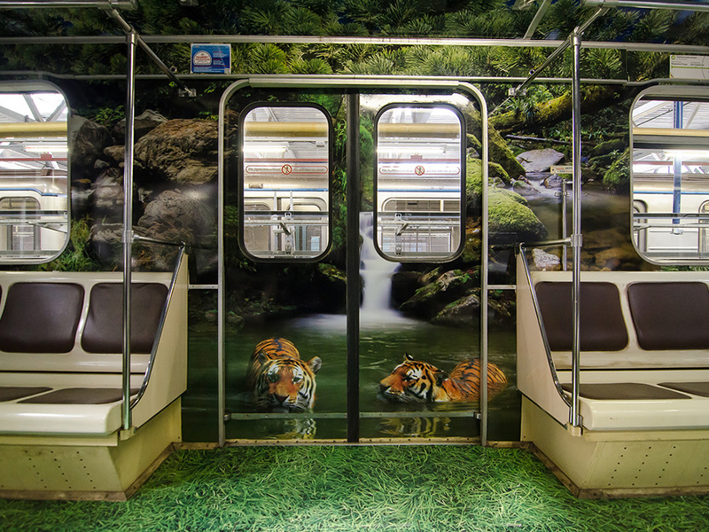 ���������� ���� ��������� � ������������� ������