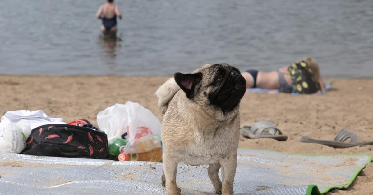 ��������: ��������� ����� � ������ �������� �� ������ ������ �������� ����