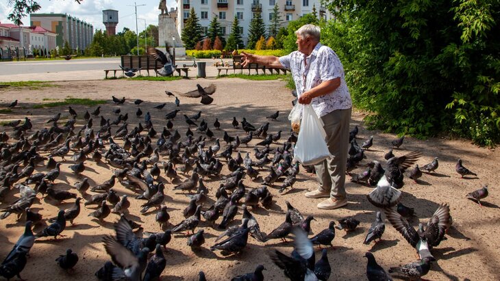 ������� ������������ � ������� �� ��������� �������