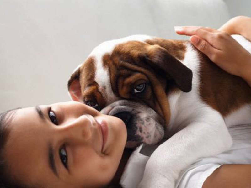 ��������� ��������� ������ ���������� � ����� �������� � ������ ���������� ��� �������� ��������