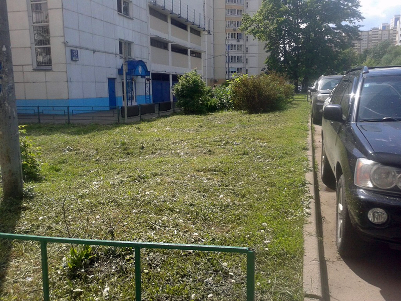 ����� ������ ���������� ����� ���� ������ ������� ������ �������