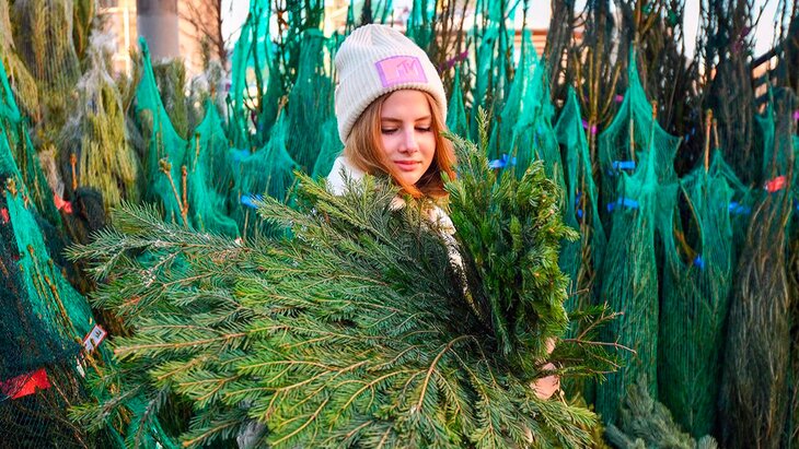 ����� 250 ������� ������� ��������� � ������