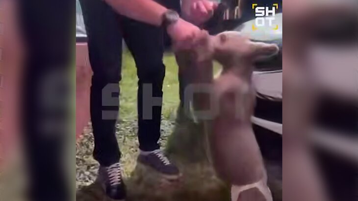 � ��������� ���������� ���� ����� ����� � ���������� ����������