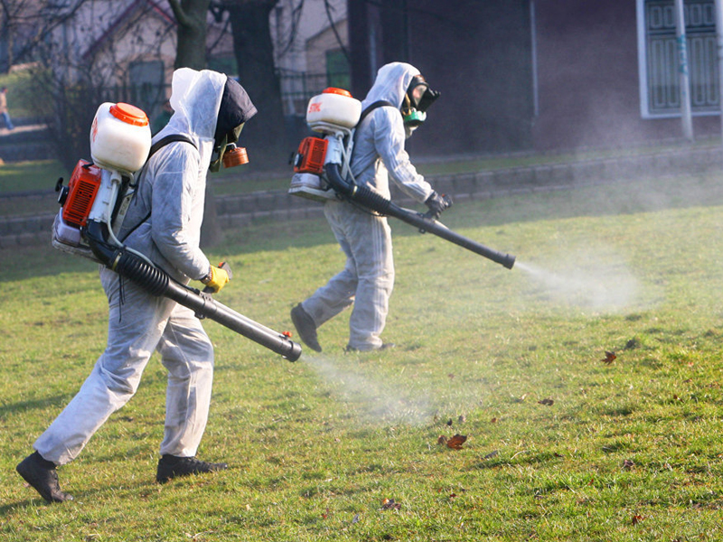 ��� ������� ���� ������ ������� ���������� �� ������