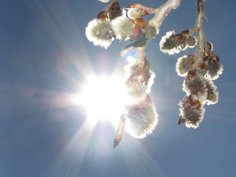 � ������� � ���� �������� ����� �������� �����