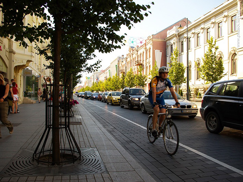 �������. ������ ������ ��������� ������� � ��� ��������������