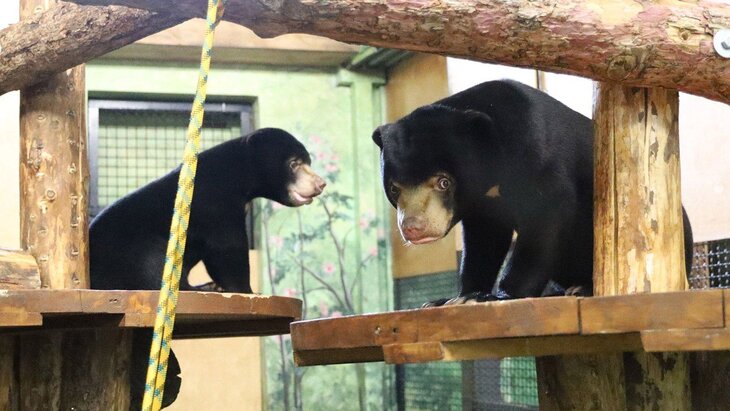 ����� ������ ��������� � ���������� ����������� ����������� �������� ���������