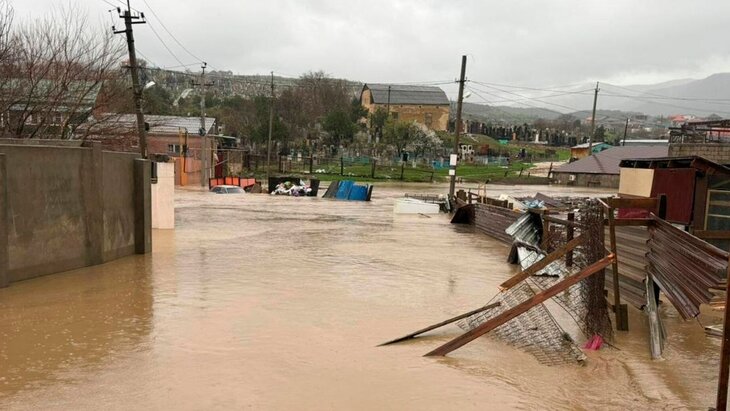 ������� 6-������ ������� ������ ��������� ��������� ����������� ���������