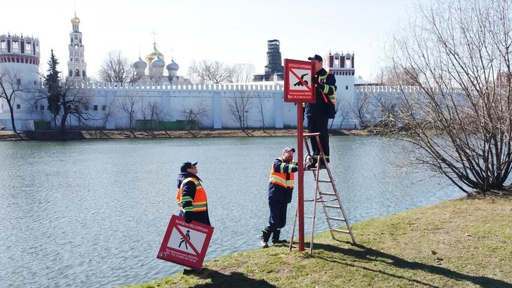 ����� ������ ������ ������������ ������� �� ���������� ��������