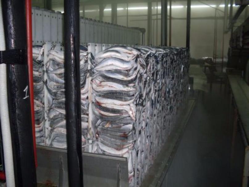 �� ������� ��������� �������� ������ ������� ������ ���������