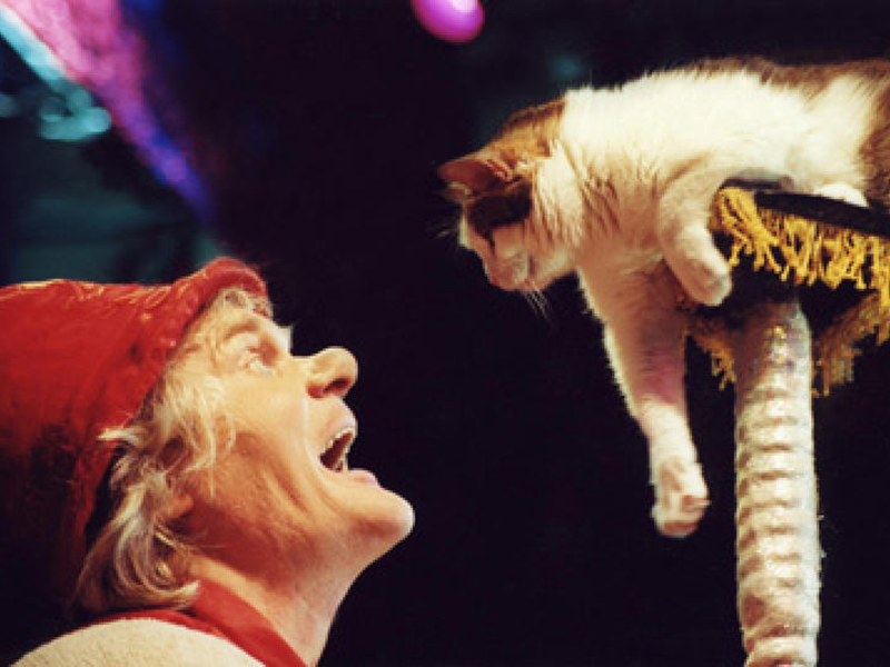 ��������� ��� �����-����� ������� � ������ ���� ���������