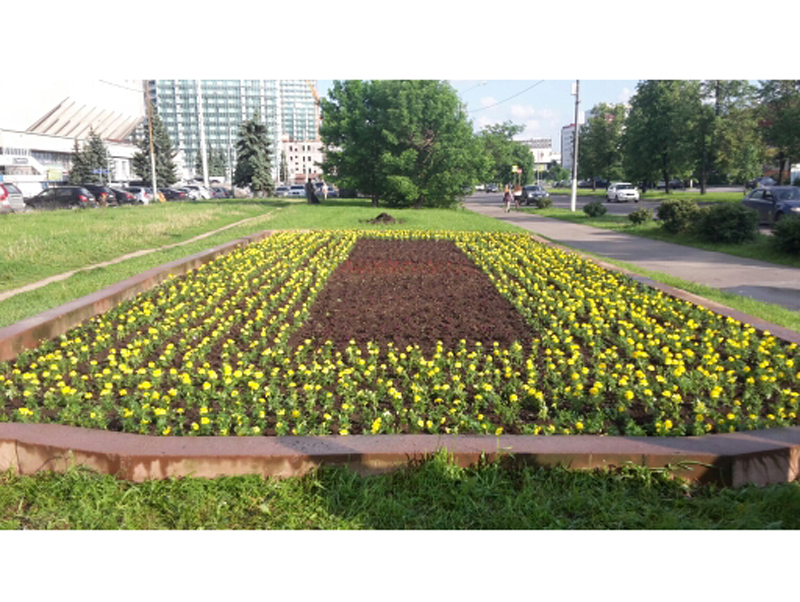 �� ���������� ������ ������� �������� �����