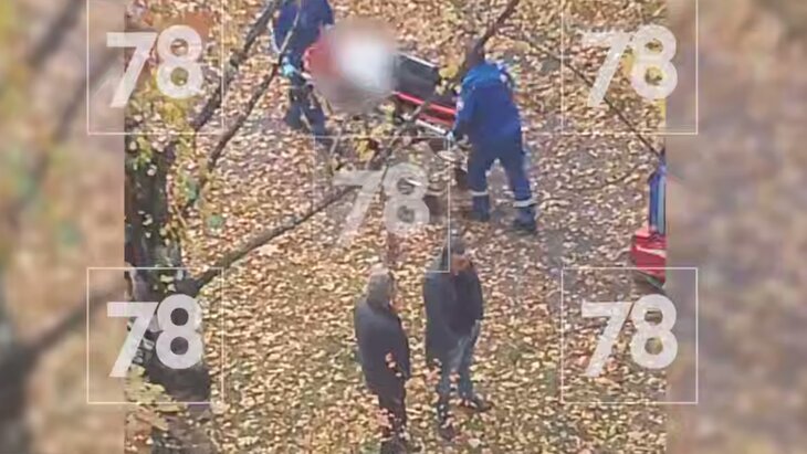 Восьмиклассница выпала из окна школы в Санкт-Петербурге