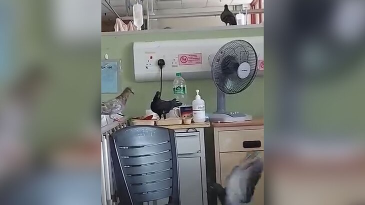 ������ �������� ��������� � �������� � ��������