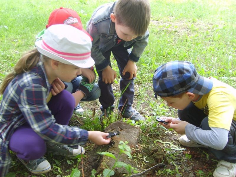 � ���������� �27 ������ ������� ���������� ����������� �������� ������ ���