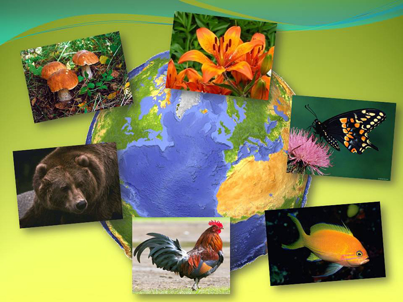 � ��������� ������ � 1 �������� �������� ������������� �����